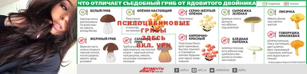 молекула духа Тихвин