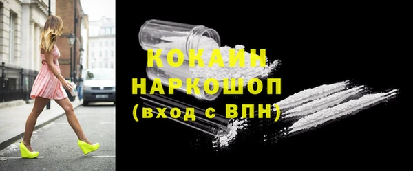 молекула духа Тихвин