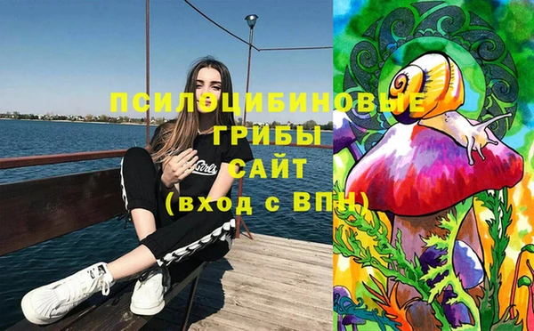 молекула духа Тихвин