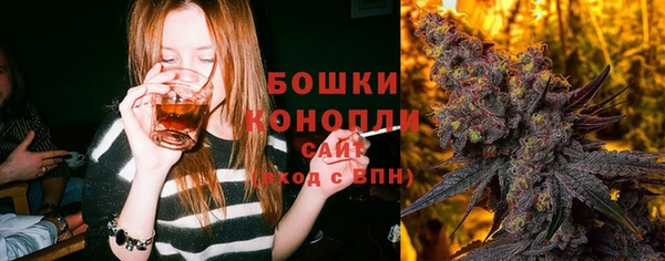 молекула духа Тихвин