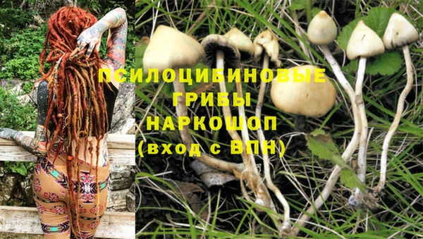 гашик Тихорецк