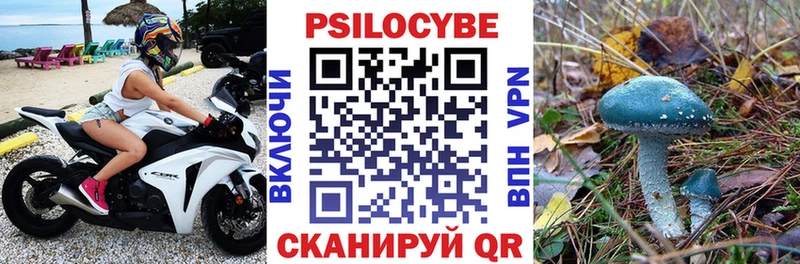 Псилоцибиновые грибы MAGIC MUSHROOMS  дарнет шоп  ссылка на мегу сайт  Норильск 