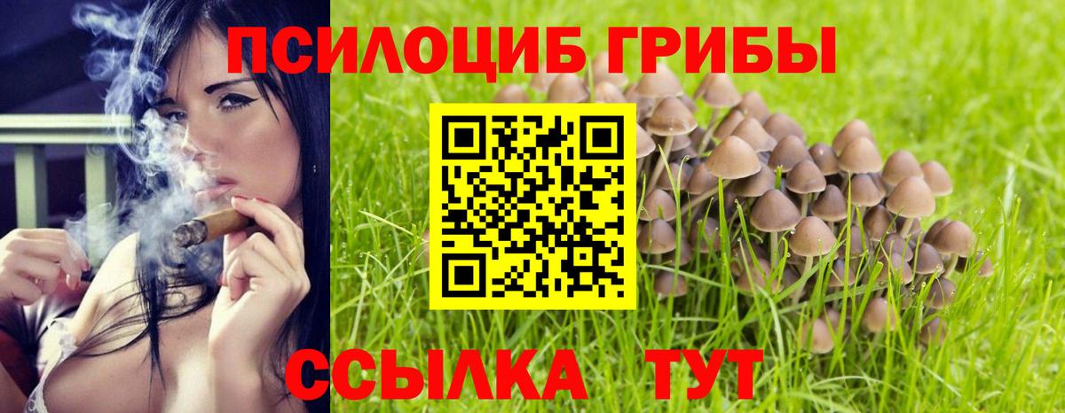 Псилоцибиновые грибы мухоморы Норильск
